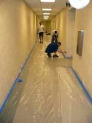 COUPONS FOR MOLD DAMAGE FROM FLOOD 1-877-71-FLOOD