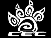 Cheerleading classes and squads for all ages.