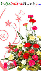 Experience our network-to reach your gifts quicker