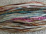 extension rooster feathers