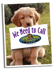 Lehigh Valley Scoopers