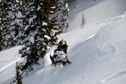  Want a licensed guide to take you on a snowmobiling expedition?