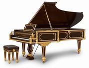 Piano tuning ,  piano rebuilding,  voicing,  appraisol, tuner 404 918 7510
