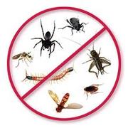 Spectrum Pest Control