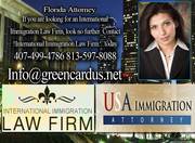 international Immigration