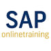 SAP Online Training and Placement on all ERP Modules