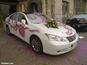 VIP décor for all type and