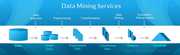 Data Mining Services