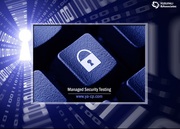 PCI Audit & Assessment Services,  Managed Security Testing- Ya-Cpa