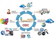 Offshore development center