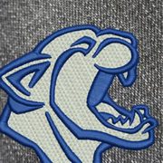 The Best Way To Digitizing Services