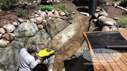 View Exotic Koi Pond Designs & Water Garden Ideas