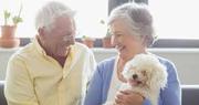 Companion caregiver services