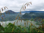 Bali Hiking
