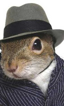 WILDLIFE REMOVAL SERVICES & PEST CONTROL NJ