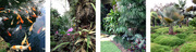 Affordable Landscape Design Services by Landscape Designers Miami