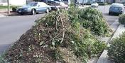 Yard Waste Removal Snellville GA