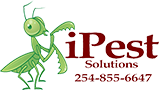 pest control bellmead tx, commercial pest control hewitt tx