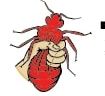 Syracuse Pest control, Buffalo Pest control