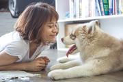 Dog Waste Removal & Pick Up Service in Chicago | Doo Care