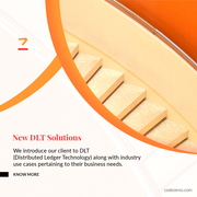 Other DLT Solutions