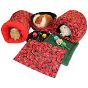 Are You Looking For A Guinea Pig? Know How Many Guinea Pigs Do You Nee