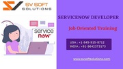 Servicenow online training