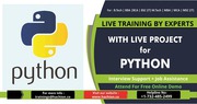 Python Online Training