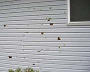 Gutter Cleaning Fayetteville