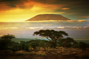 Tanzania leisure travel is all about wild safaris,  scenic beaches, 