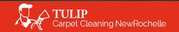 Tulip Carpet Cleaning New Rochelle