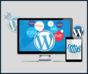 Custom WordPress Website Development | NogaTech