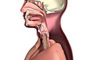 Throat Cancer Doctor in Jaipur