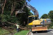 tree cutters in South Bend Indiana