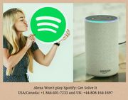 Alexa Won't play Spotify: Get Solve It