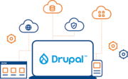 Drupal Web Development Service