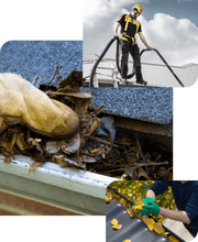 Affordable Gutter Cleaning Services for a Hassle-Free Experience