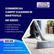 Affordable and Reliable Commercial Carpet Cleaning in Marysville