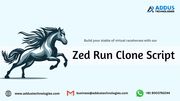 Zed Run Clone Script Provider - Addus Technologies