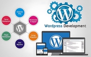 Atlanta   WordPress  Web  Design