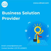 Looking For  IT Or Business Solution Provider For Business Hire CDN So