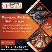 Best Fortune Teller in California | Famous Astrologer in California