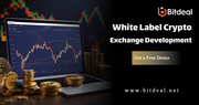 Launch Your Own Crypto Exchange This Black Friday!