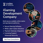 iGaming Platform Development