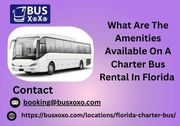 What Are The Amenities Available On A Charter Bus Rental In Florida