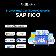 SAP FICO Beginner to Advanced Professional Training