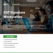 24/7 Workstation Monitoring Service with Remediation | ECF Data