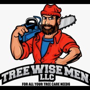 Tree Wise Men