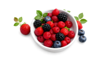 Premium Multivitamin,  Shilajit & Sleep Gummies | Gummies Nest