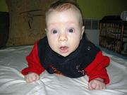 Healthy baby boy for open adoption